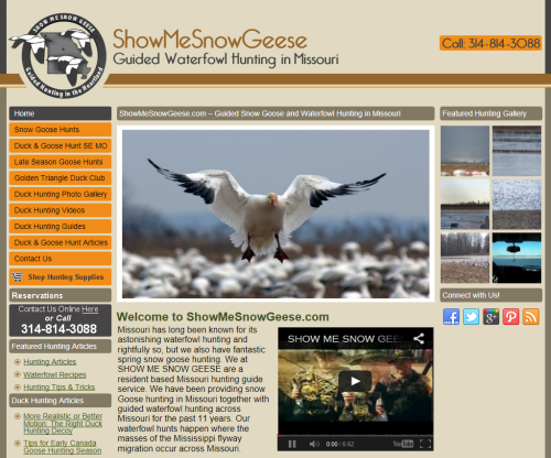 Show Me Snow Geese